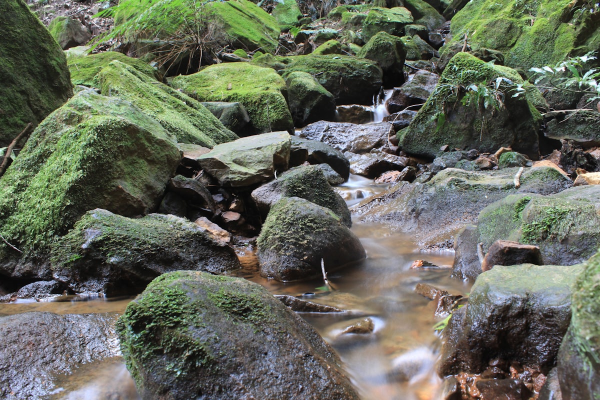 포토샵 인터페이스에서 생성형 채우기 기능을 사용하여 인물 뒤의 배경을 설산으로 바꾸는 작업 화면